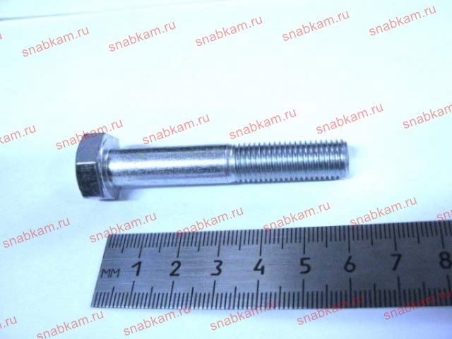 Болт М10х 60х 1,25 1/42342/31