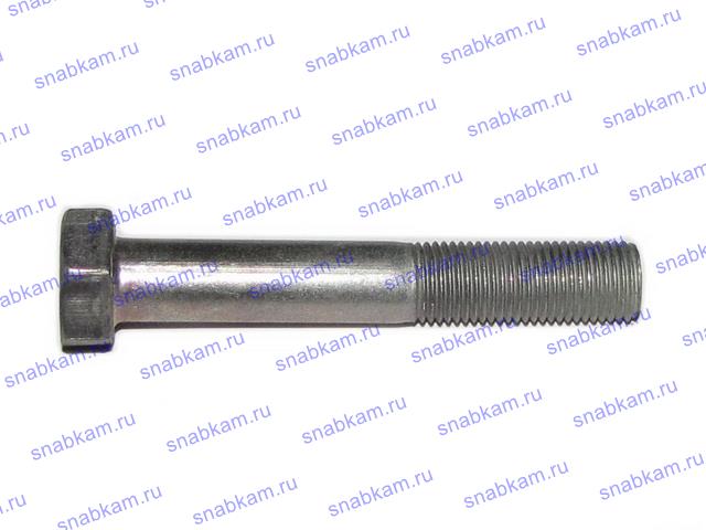 Болт М12 х 75 (цапфа, на 169 гайка башмака) 1/55413/21