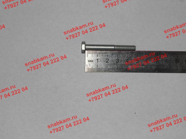 Болт М6х 50 1/9036/21