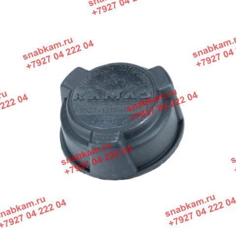 Крышка расширительного бачка 5490-8MY376780-591