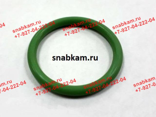 Кольцо теплообменника 7406-1013288-02