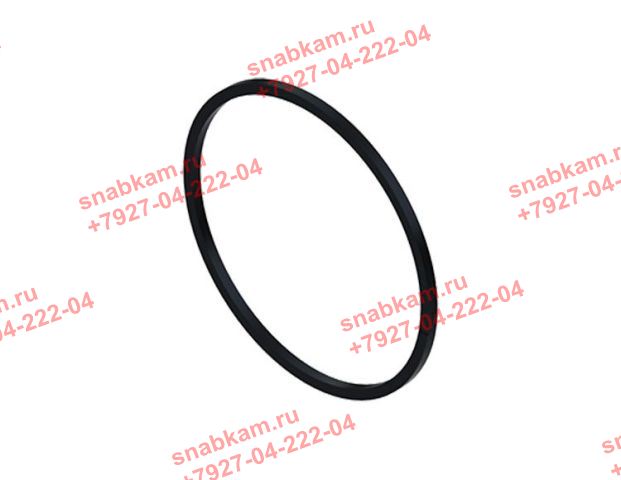 Кольцо уплотнительное A5419970645