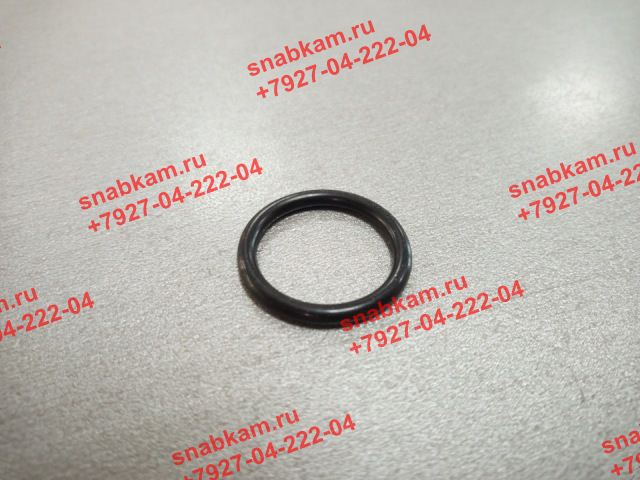 Кольцо уплотнительное F34B290260